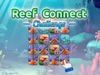 Reef Connect Challenge background