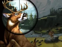 Deer Hunter background