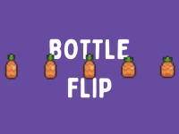 BottleFlip background