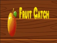 Fruit catch background