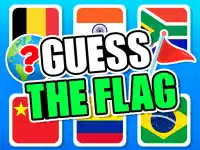 Guess The Flags background