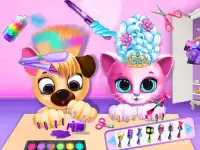 Pet Haircut Beauty Salon background