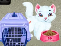 Baby Taylor Pet Care - Save Cute Animals background