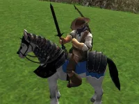 Reiten Simulator background