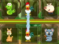 Animals Pairing background