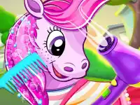 Ponys Pet Salon background