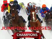 JUMPING HORSES CHAMPIONS background