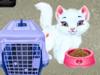Baby Taylor Pet Care background