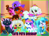 Cute Pets Summer Dress Up background