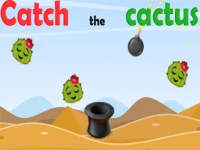 Catch The Cactus background