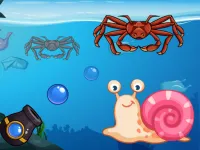 Crab Shooter background