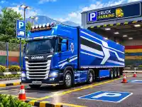 Euro Truck Parking Game background