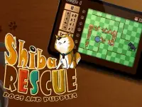 Shiba Rescue : Dogs and Puppies background
