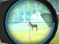 Hunter background