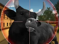 Bull Shooting background