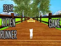 Cutie cat background