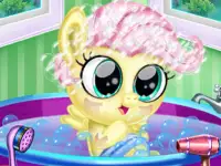 Pregnant Pony Check Up background