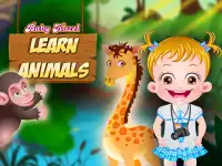 Baby Hazel Learn Animals background