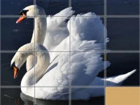 Animals Slide Puzzle background