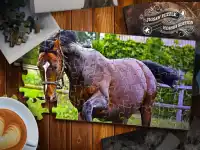 Jigsaw Puzzle Horses Edition background
