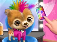 Rock Star Animal Hair Salon background