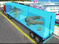 Transport Sea Animal background