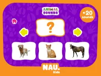Animal Sounds background
