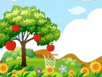 Hoops & Fruits background