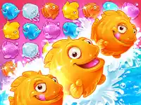 Shell Splash background