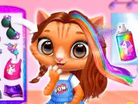 Kitty Animal Hair Salon background