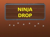 Ninja Drop background