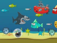 Crazy Shark background