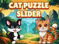 Cat Puzzle Slider background