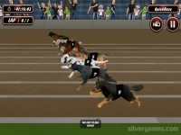 Crazy Dog Racing Simulator Games 3D background