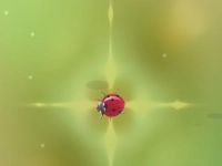 Pest Control background