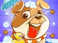Animal Daycare Pet Vet background