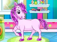 Pet Salon background