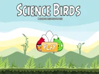 Science Birds background