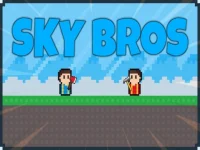 Sky Bros background