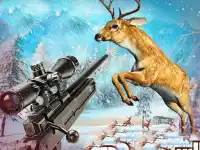 Deer Hunting Adventure:Animal Shooting Games background