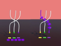 Twisted Rods background