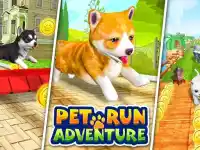 Pet Run Adventure Puppy Run background