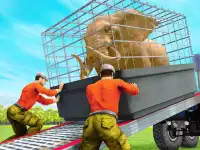 Cargo Truck: Transport & Hunt background