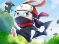 Ninja Rabbit background