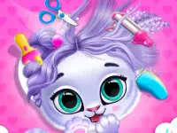 Pets Grooming Bubble Party background