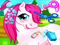 Horse Pet Salon 3D background