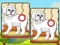 Dogs Spot The Differences 2 background