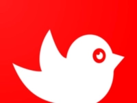 Tappy Bird-22 background
