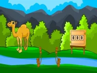 Rescue The Hungry Camel background