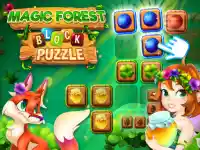 Magic Forest : Block Puzzle background